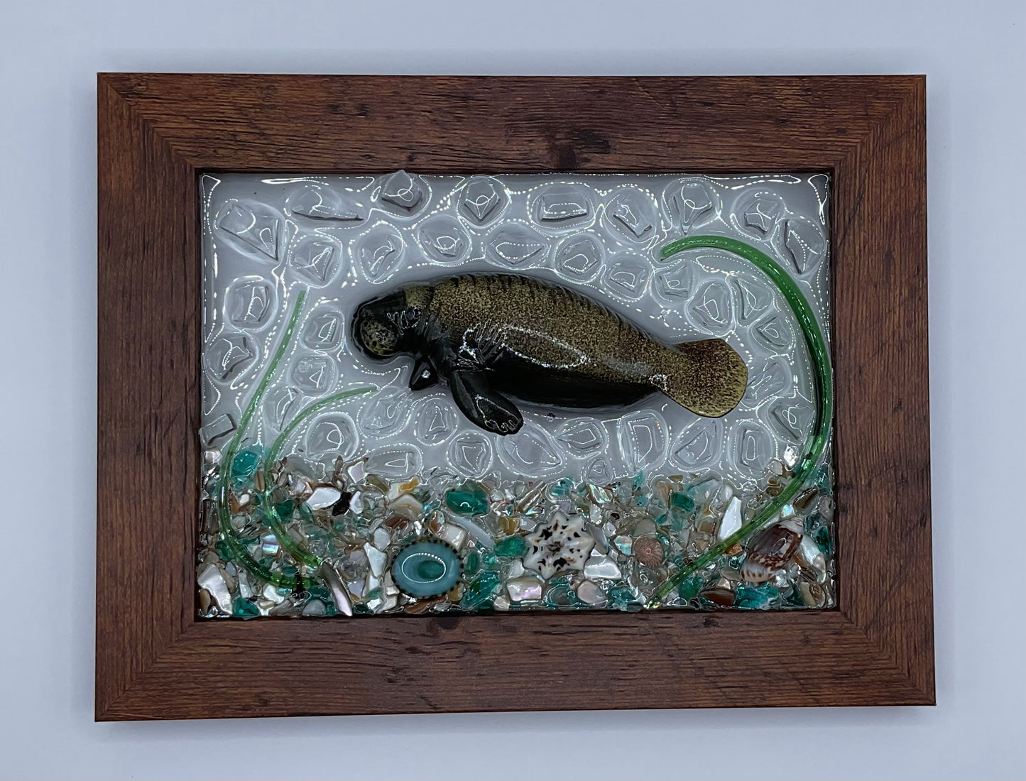 5x7 Manatee Frame 029