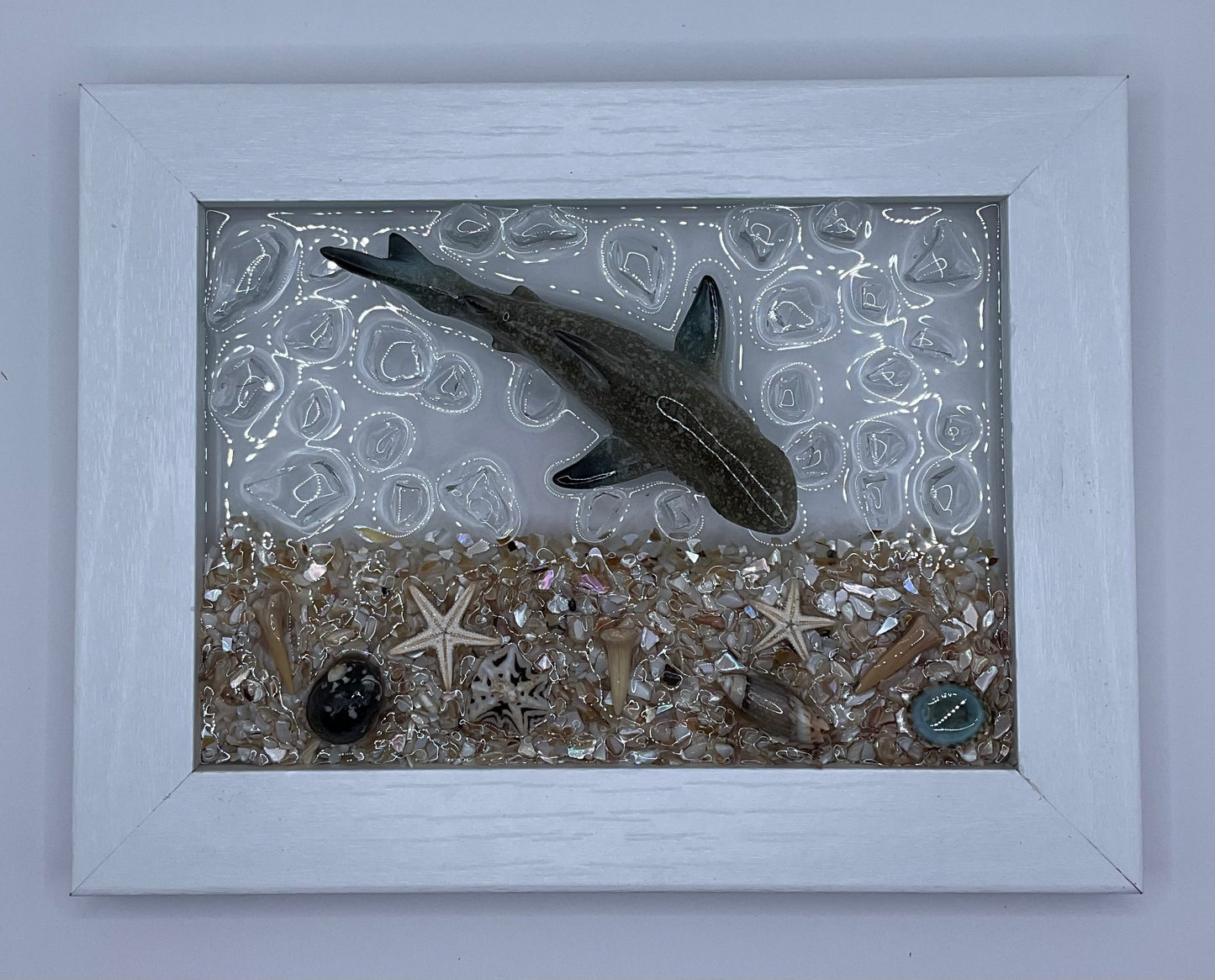 5x7 Gray Shark Frame 011