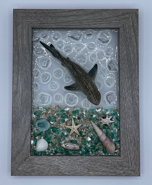 5x7 Gray Shark Frame 013