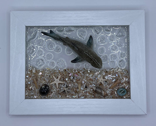 5x7 Gray Shark Frame 011