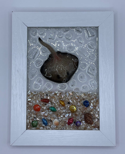 5x7 Gray Stingray Frame 006