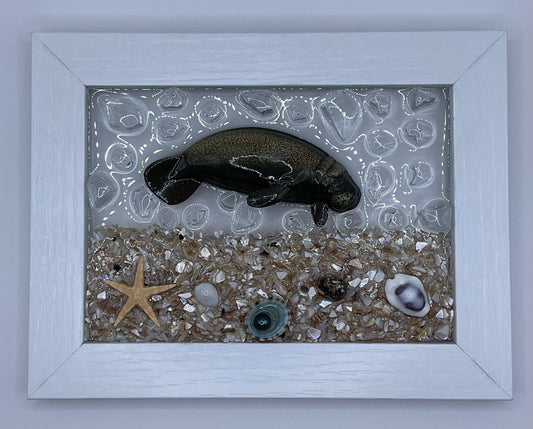 5x7 Manatee Frame 004